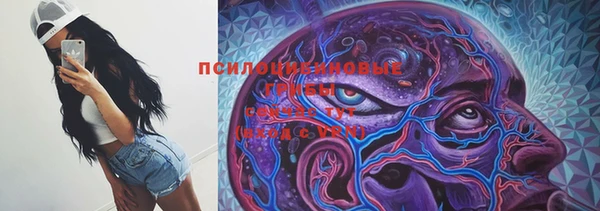 стафф Абаза