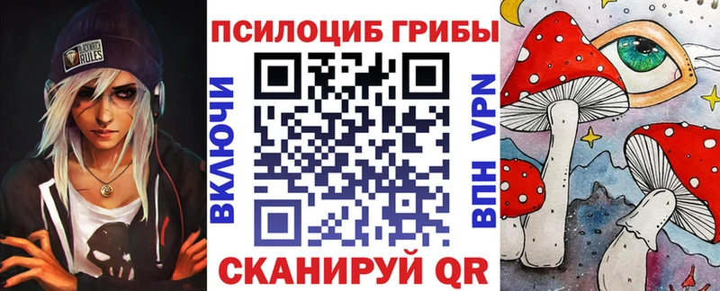 Псилоцибиновые грибы Psilocybine cubensis  Красновишерск 
